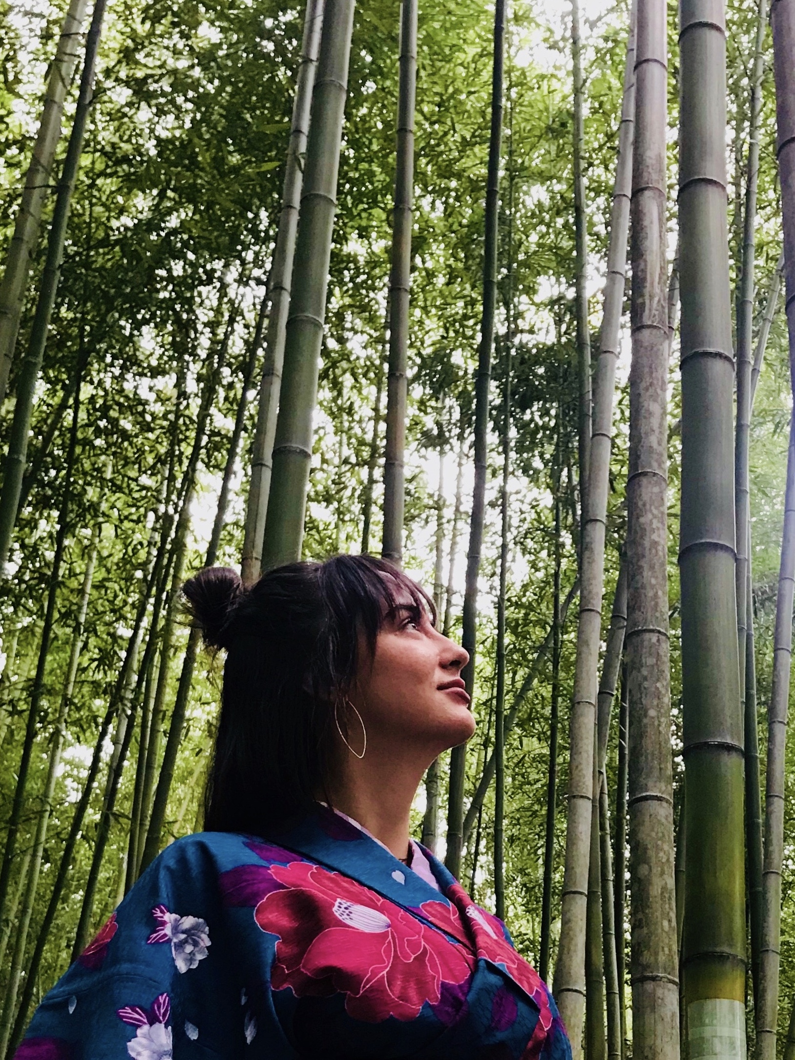 竹林の小径🎋