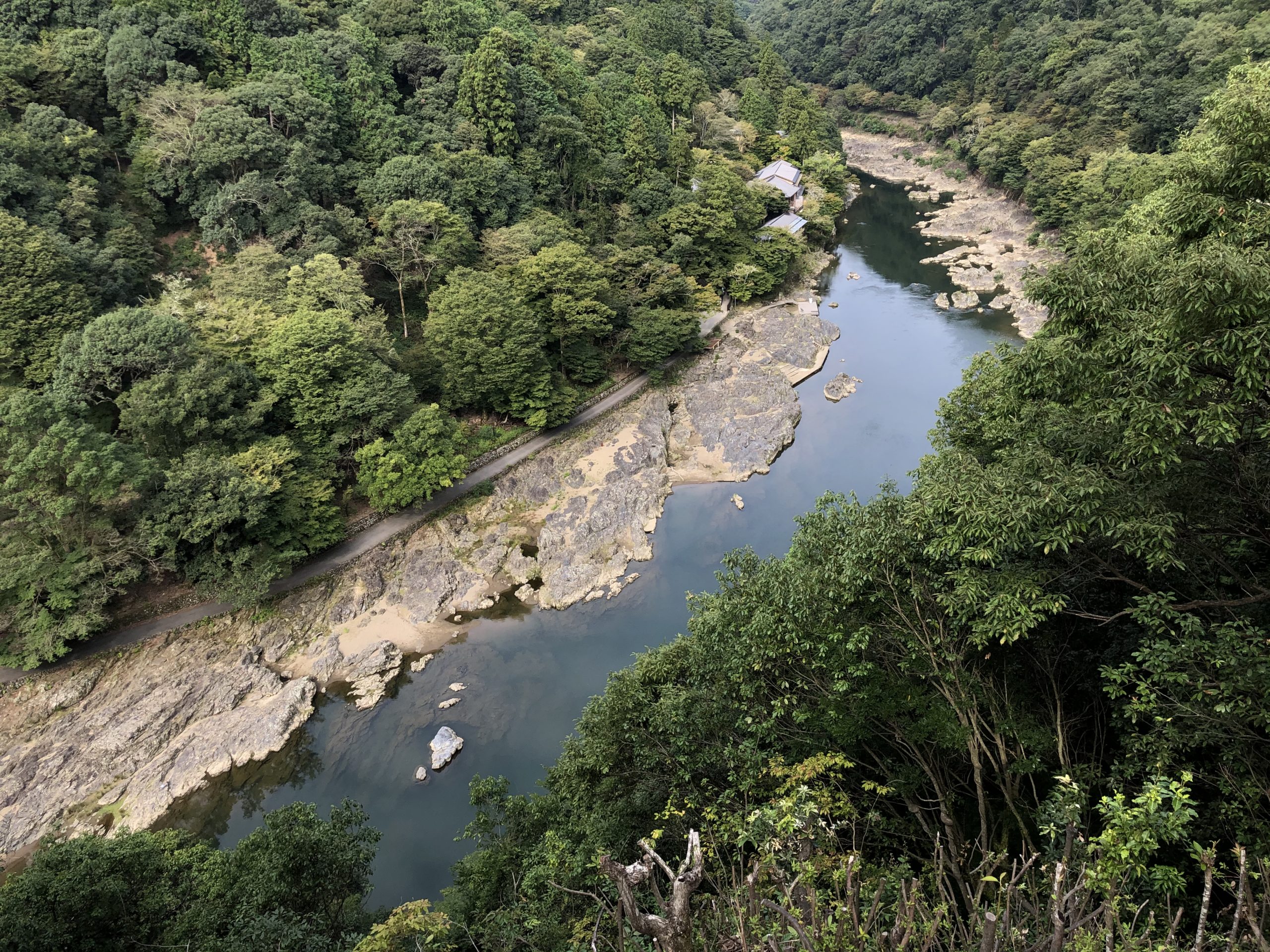 嵐山公園亀山地区