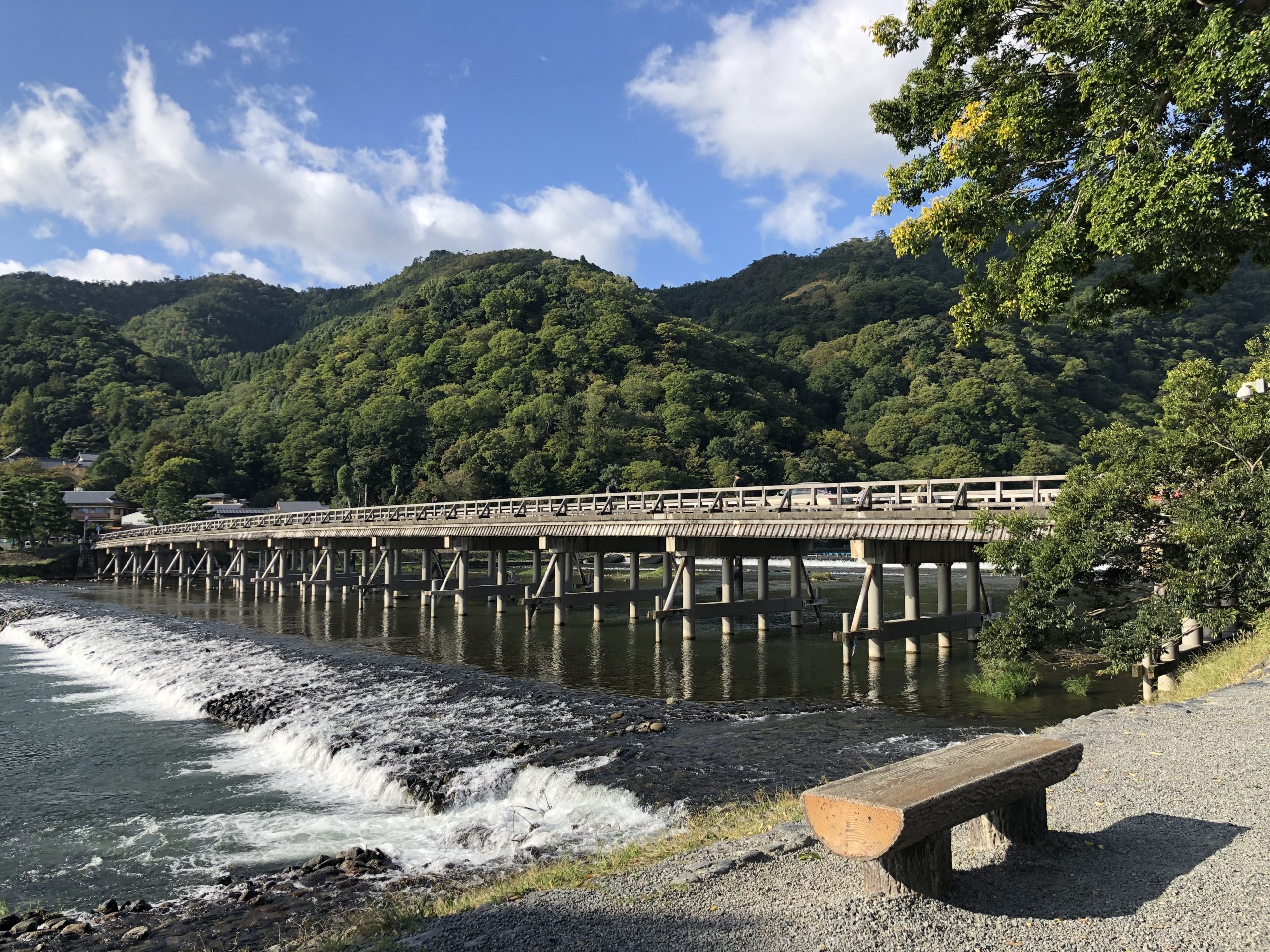 朝の嵐山☀️