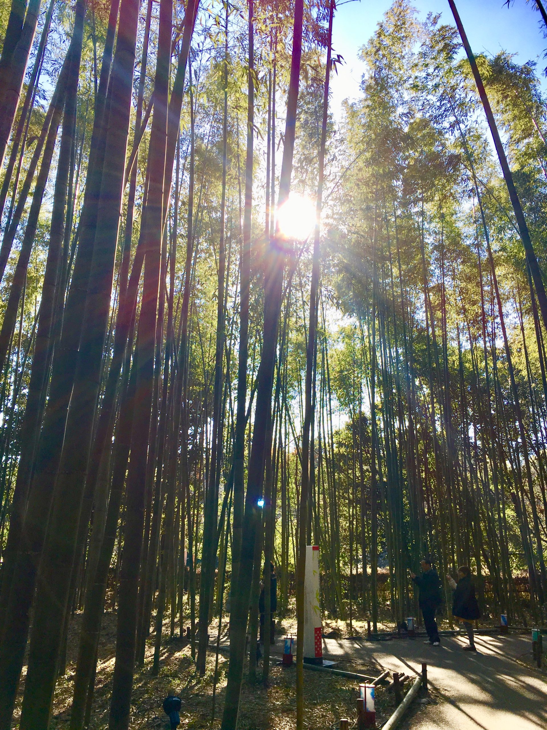 フォトジェニック📷✨