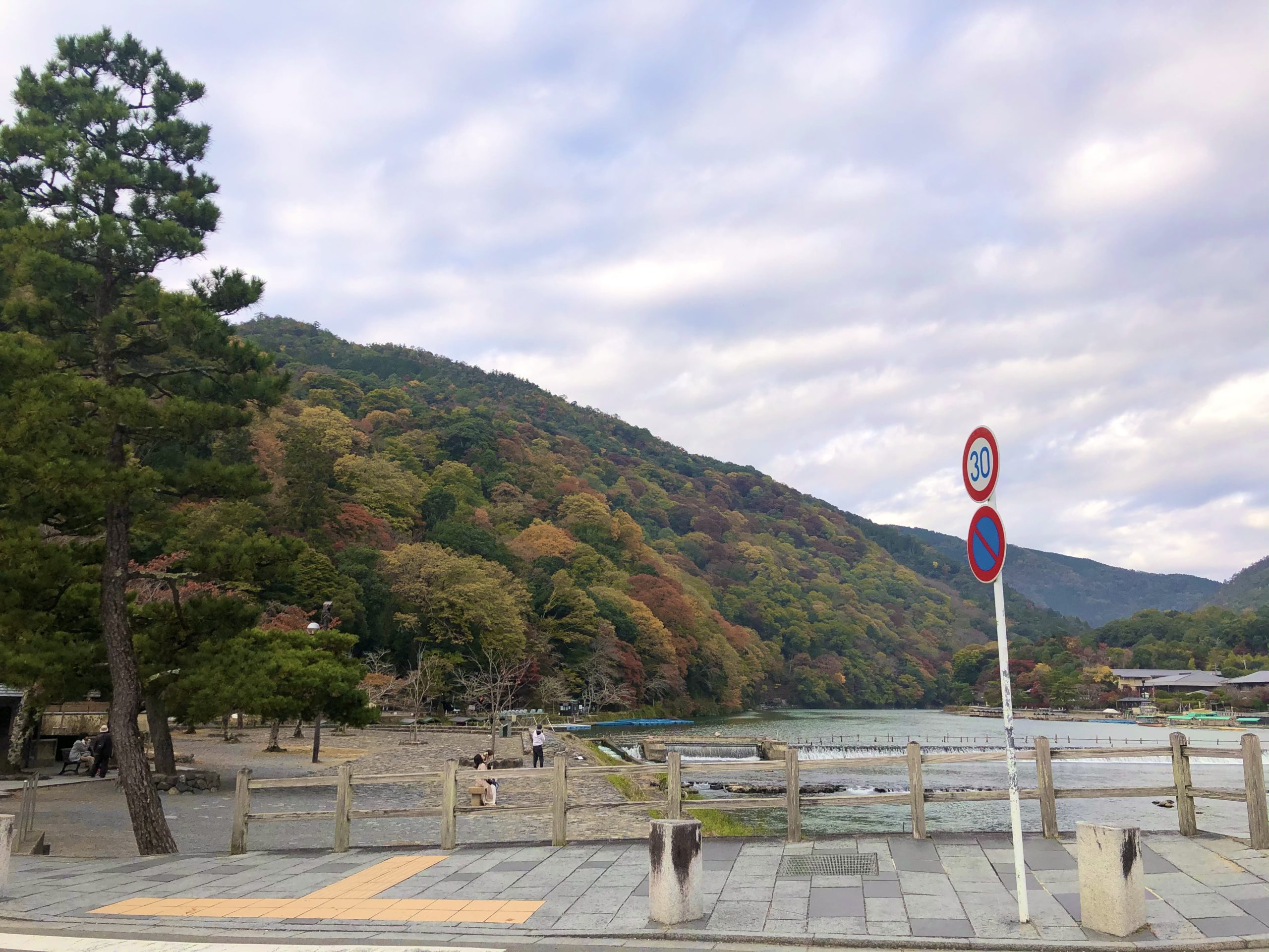 今朝の嵐山の紅葉状況🍁