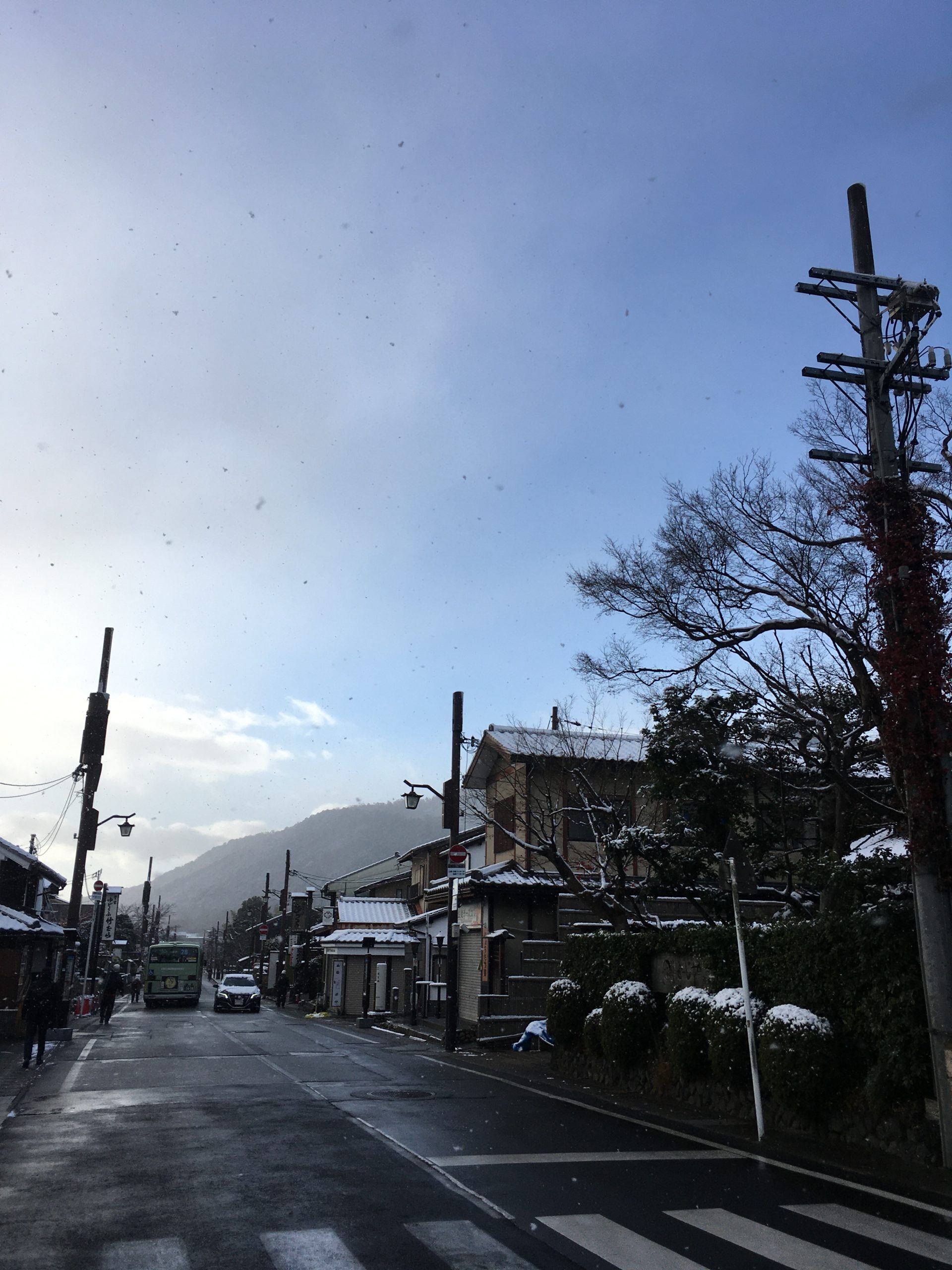 嵐山⛰雪化粧❄️