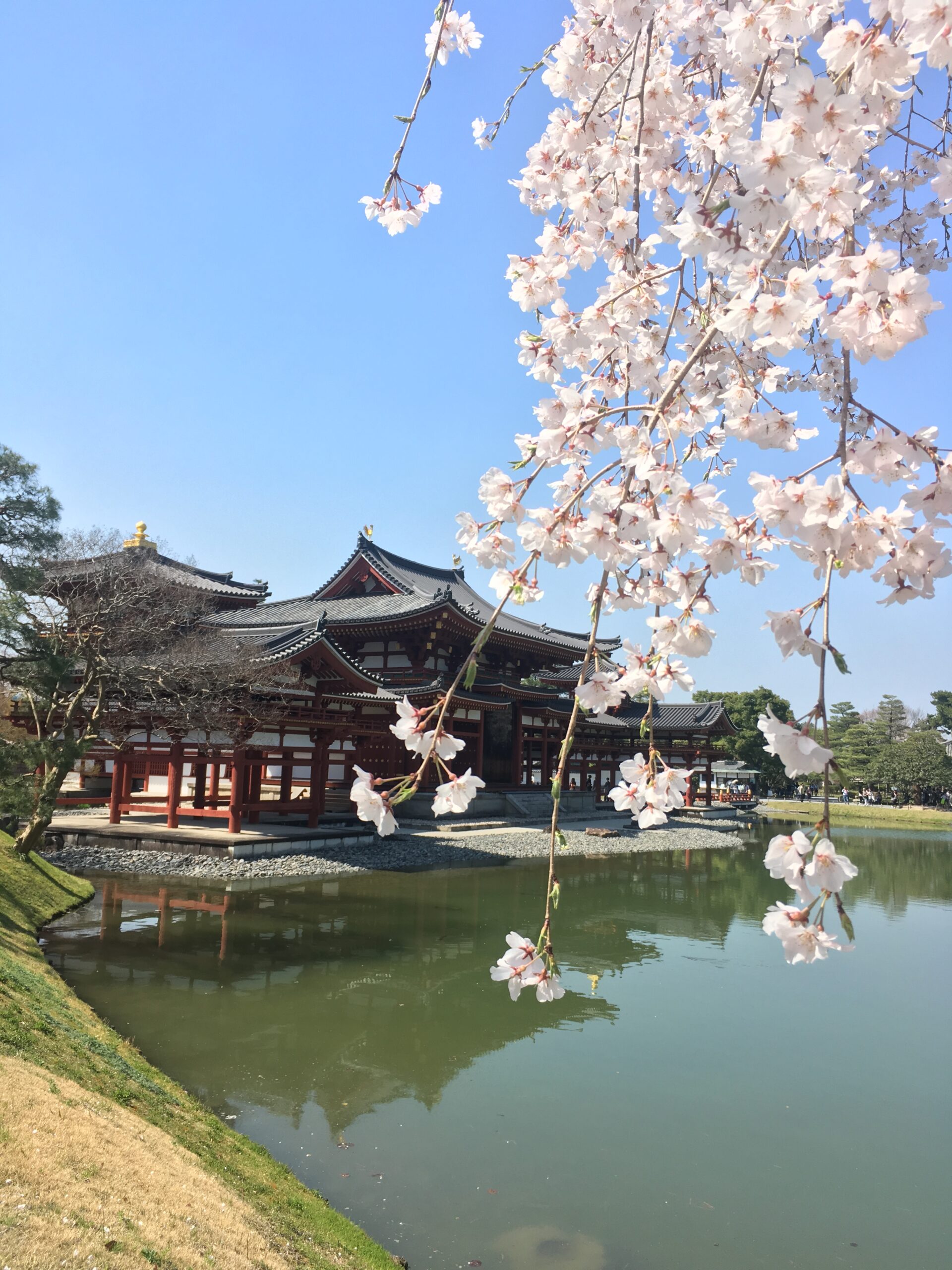 平等院🌸