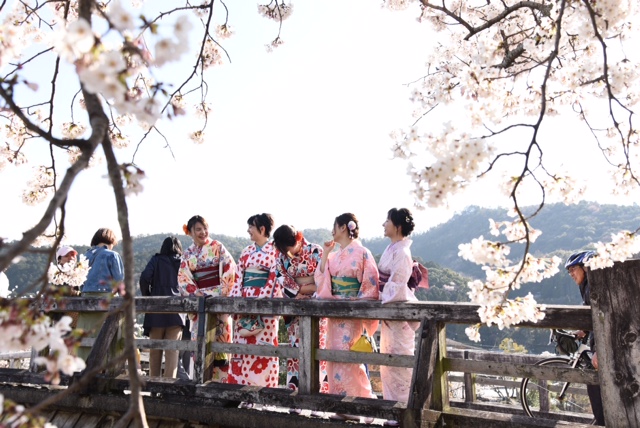 嵐山🌸