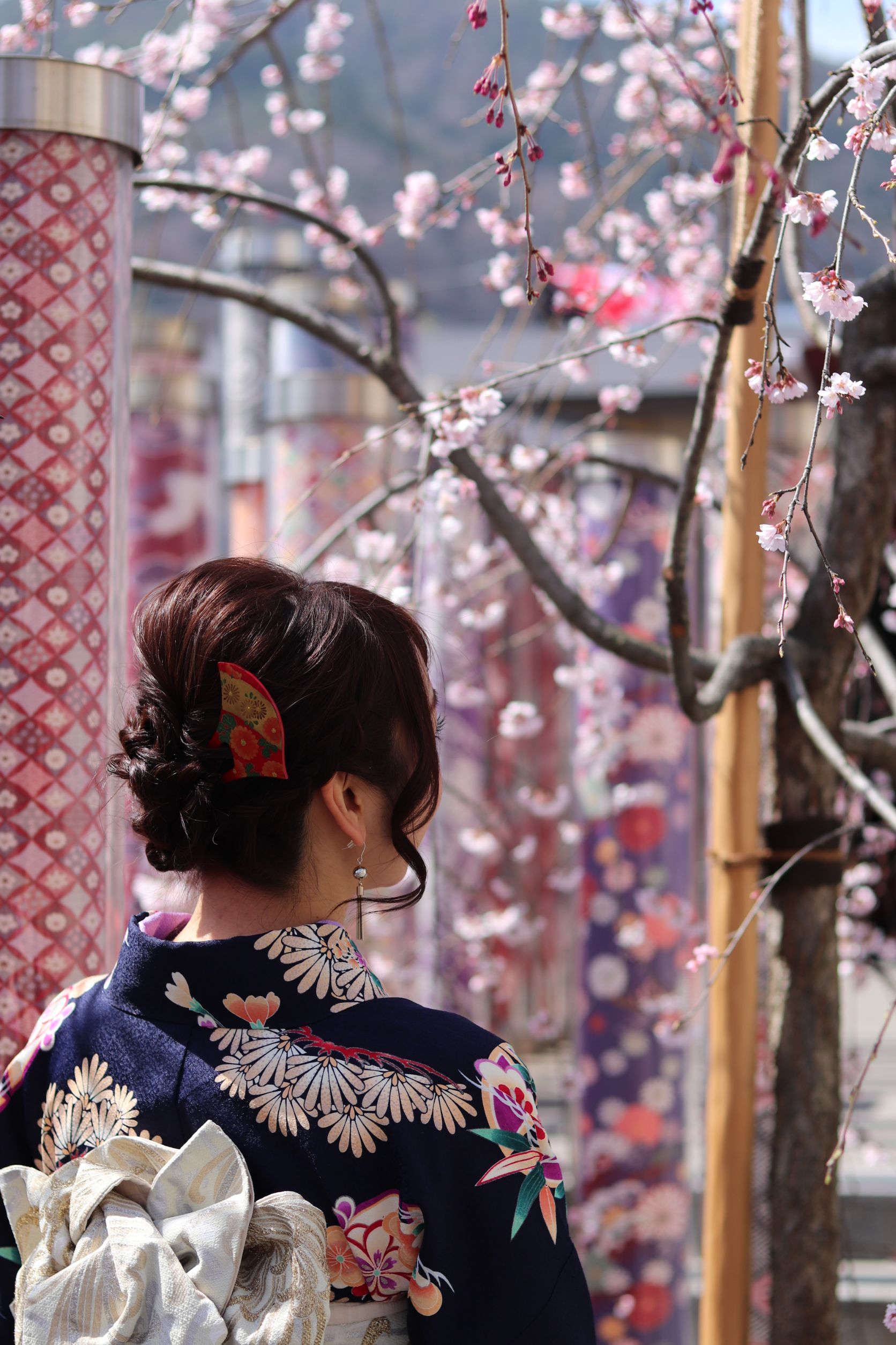 嵐山🌸