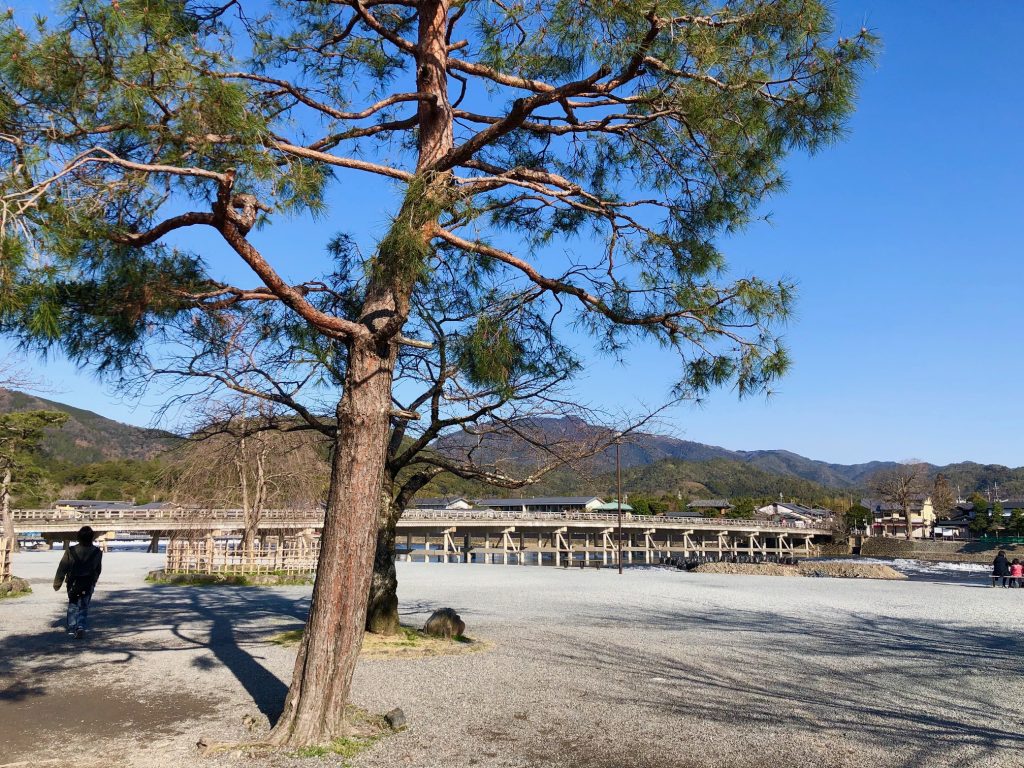 嵐山おすすめスポット 中之島公園 京都 嵐山でレンタル着物 夢京都 嵐山店 渡月橋店 着物レンタル 夢京都